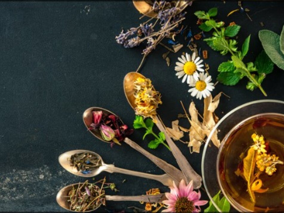 Workshop Salben rühren  - Impression #1 | © Christina Marschall-Schranz