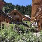 IMG_4285