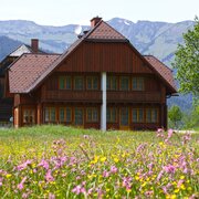 wiese_haus